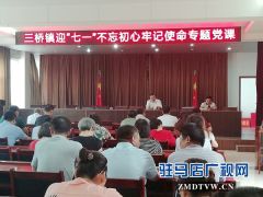 汝南县三桥镇迎“七一”主题党日活动形式多  