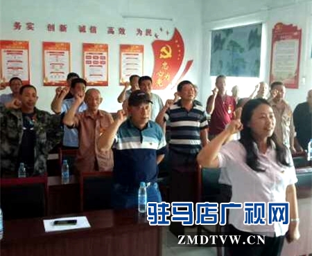 汝南县三桥镇迎“七一”主题党日活动形式多  