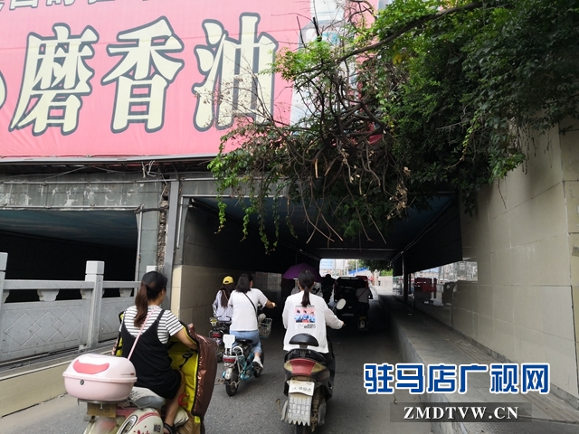驻马店市区中华路地下通道下垂树枝有隐患