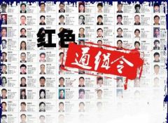 外逃18年的“百名红通人员”刘宝凤回国投案