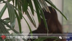 女子借1850元超时1天没还，亲友就收到了艳照