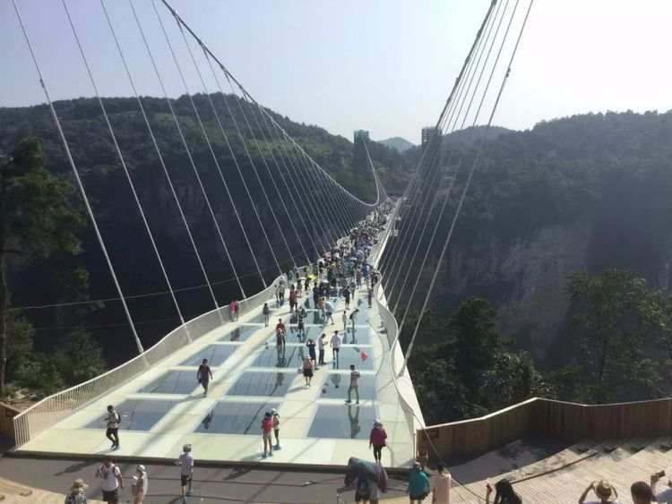 微信图片_20190701162336.jpg