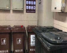 上海开出首张垃圾分类整改通知书 被罚酒店：尽快整改
