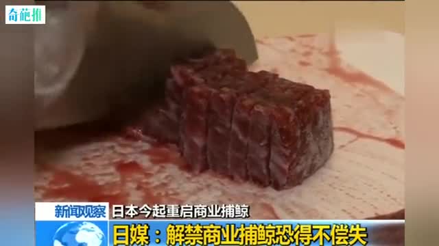 正式退群！时隔31年，日本今日重启商业捕鲸活动