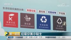 灵魂拷问来了：辛辛苦苦分好的垃圾会“一车拉走”吗