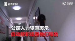 啥操作？女子被人事部冒用名义写辞职信遭解雇