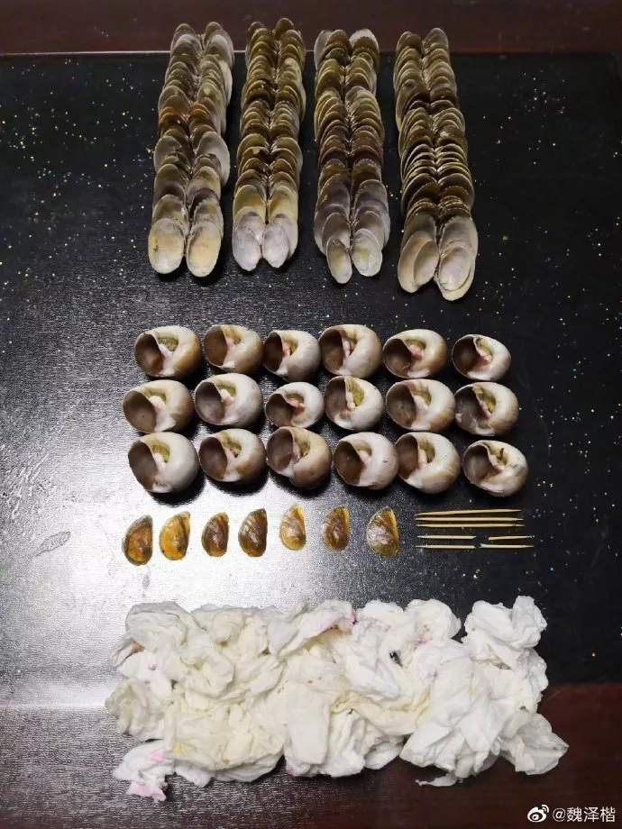 1 (12).jpg
