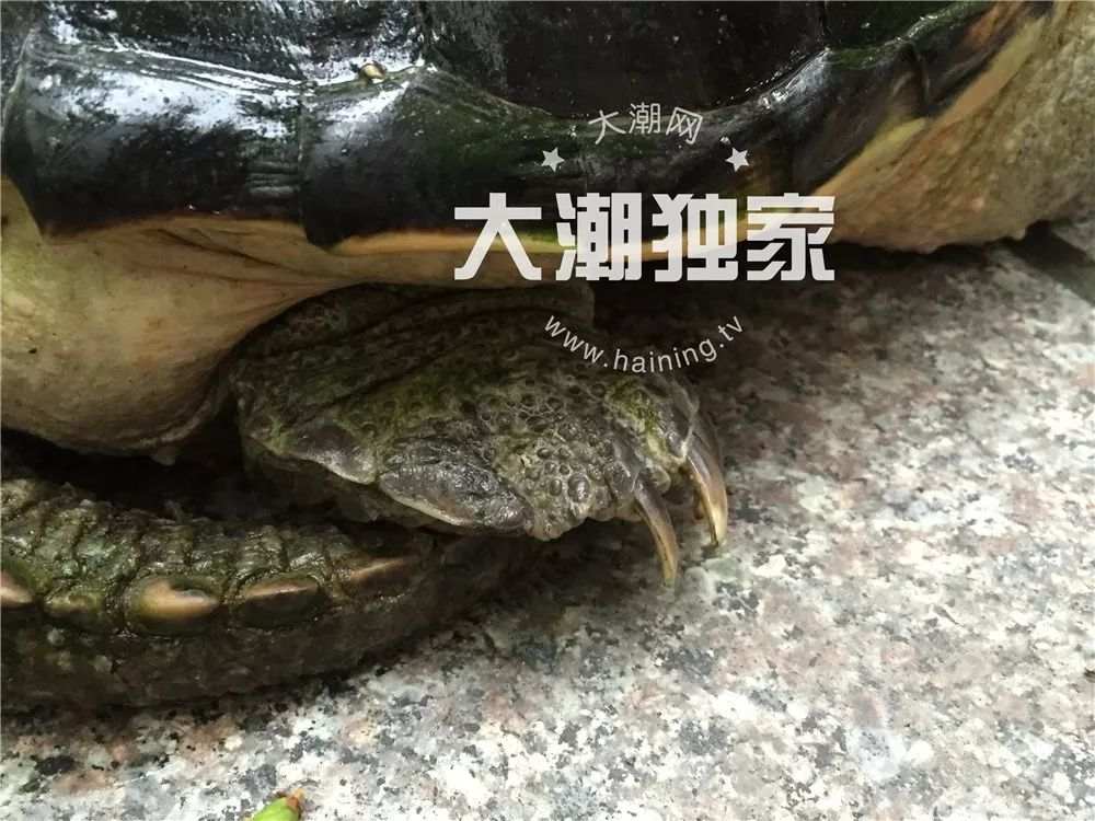 微信图片_20190703084338.jpg