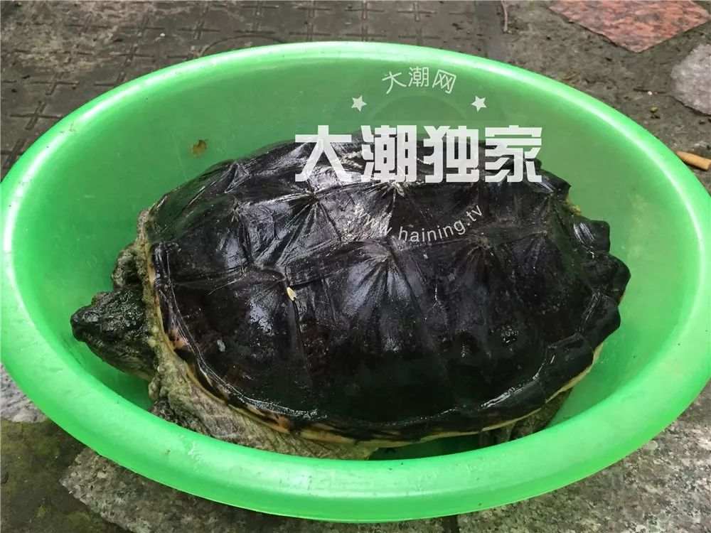 微信图片_20190703084351.jpg