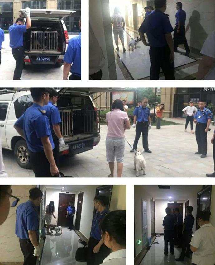 微信图片_20190703085020.jpg