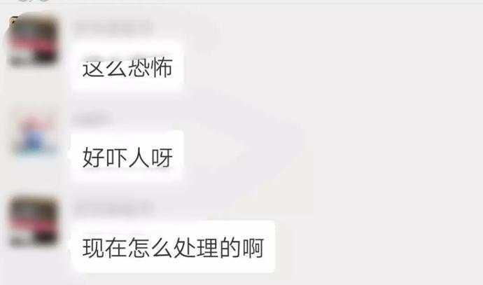 微信图片_20190703085012.jpg