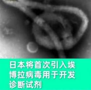 为准备奥运会，日本将引入埃博拉病毒用于研究