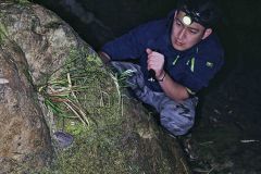 中科院博士天天研究蛇，关键时刻救人一命！