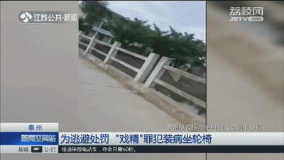 微信图片_20190705085509.gif