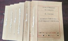 官员挪用农民养老金为妻子买宝马 出逃半年被追回