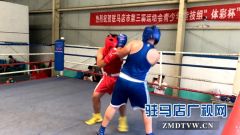 市第三届运动会青少年竞技组拳击赛开赛