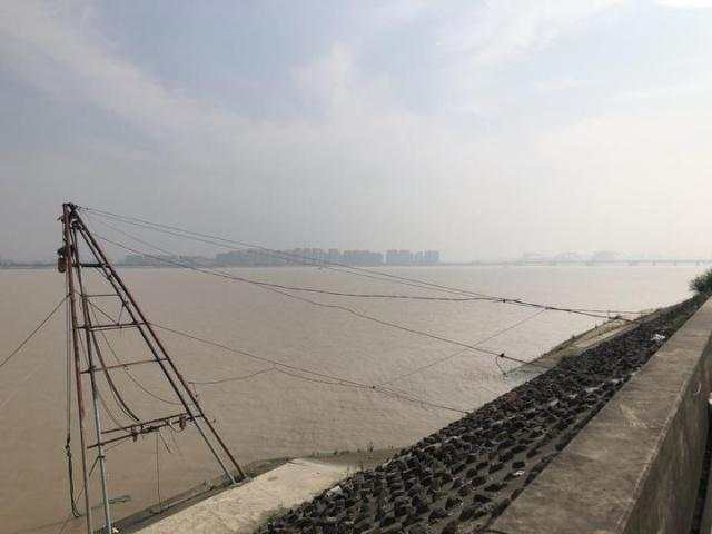 1562570595273206.jpg 微信图片_20190708152110.jpg