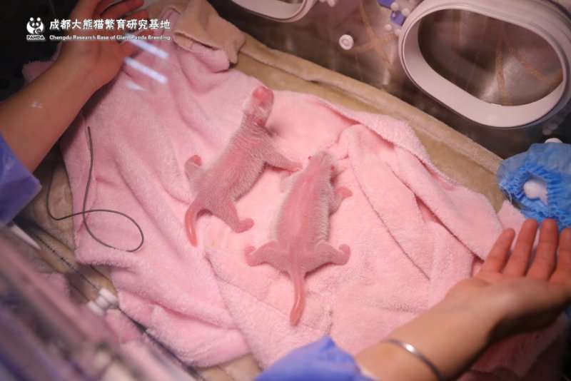 微信图片_20190708153923.jpg