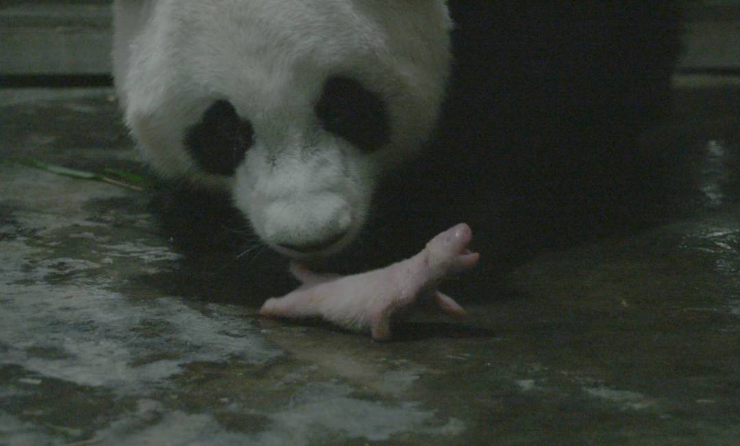 微信图片_20190708153938.jpg