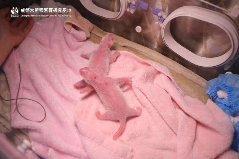 微信图片_20190708153941.jpg