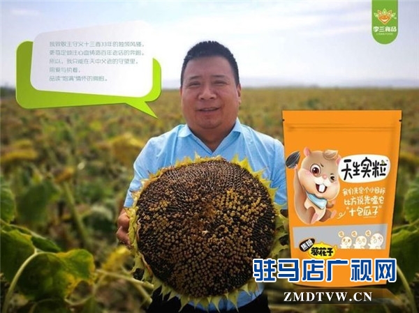 万亩葵田竞相绽放成浪漫和唯美 ，七天梦想免费之旅您准备好了么？