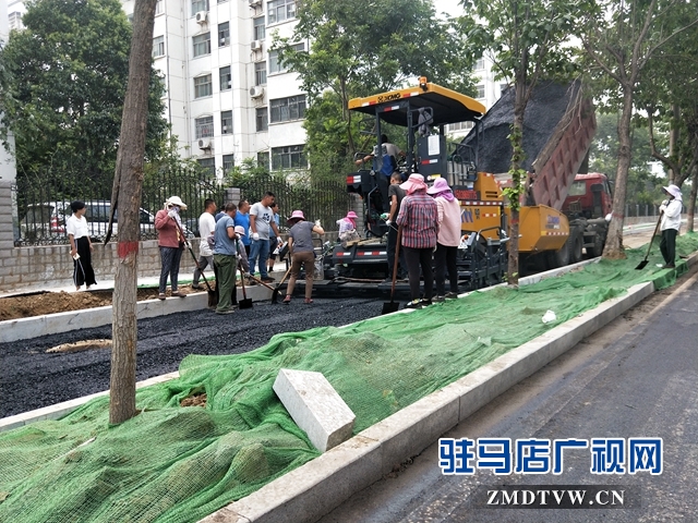 骏马路北段路面开始摊铺沥青