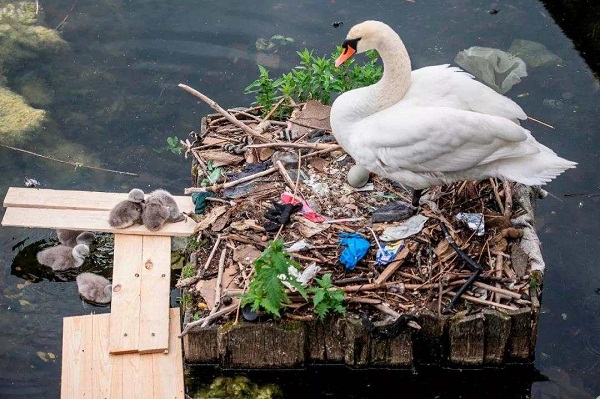 1562660993768134.jpg 1 (14).jpg