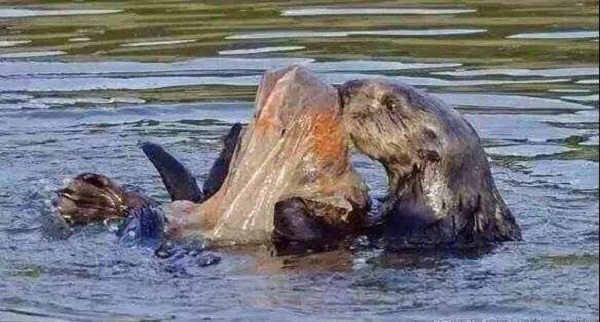 1562661027406143.jpg 1 (18).jpg