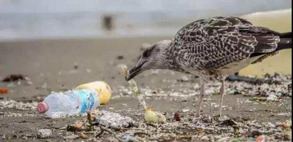 1562661002926049.jpg 1 (15).jpg