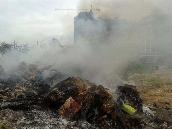 1562660945804095.jpg 1 (8).jpg