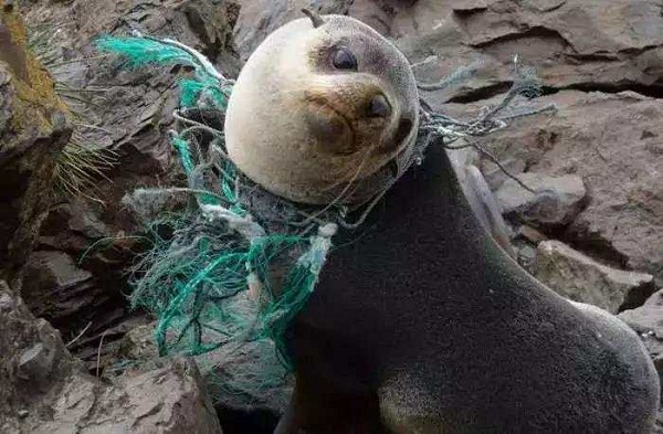 1562661009952122.jpg 1 (16).jpg