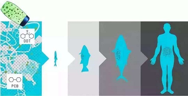 1562661062388021.jpg 1 (20).jpg