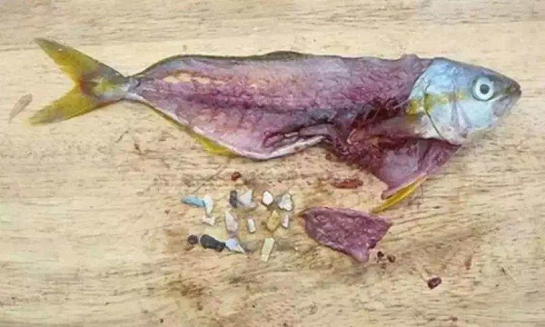 1562661070600069.jpg 1 (21).jpg