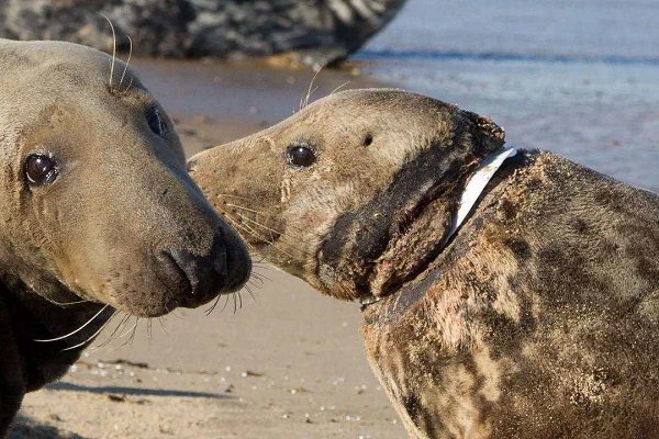 1562660969320737.jpg 1 (11).jpg