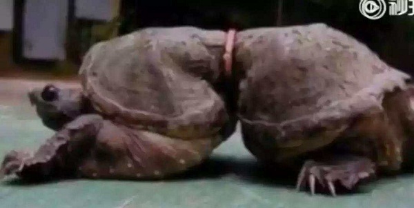 1562660986976940.jpg 1 (13).jpg