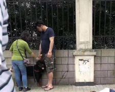 上海撕咬女子的大型犬主人回应狗咬人：责任不完全在我