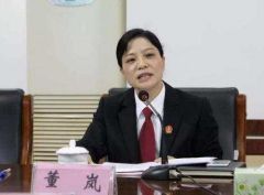 湖南高法女厅官再被举报论文抄袭：复制比率为42.6%