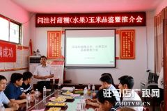 泌阳县闫洼村举办首届甜糯（水果）玉米推介会