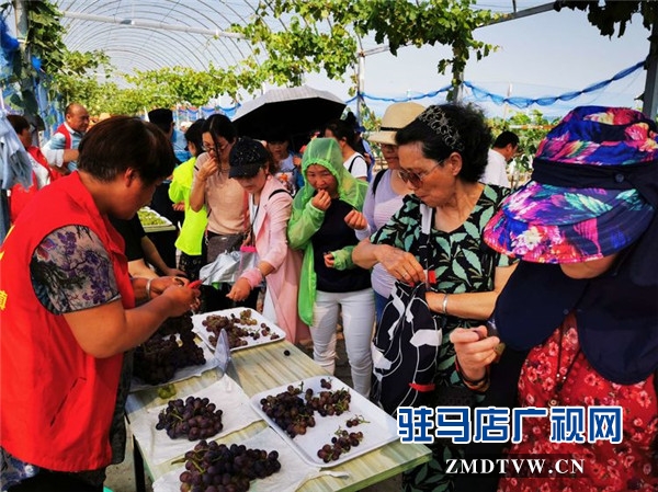 武汉旅游专列800余人赴平舆县蓝天芝麻小镇观光旅游开启蓝天芝麻小镇“旅游元年”