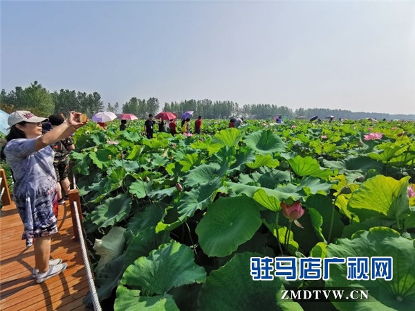 武汉旅游专列800余人赴平舆县蓝天芝麻小镇观光旅游开启蓝天芝麻小镇“旅游元年”