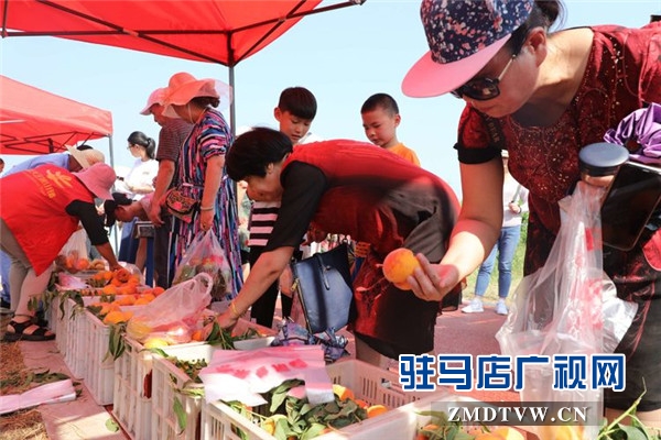 武汉旅游专列800余人赴平舆县蓝天芝麻小镇观光旅游开启蓝天芝麻小镇“旅游元年”