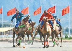 马背上的“杂技”亮相民族运动会