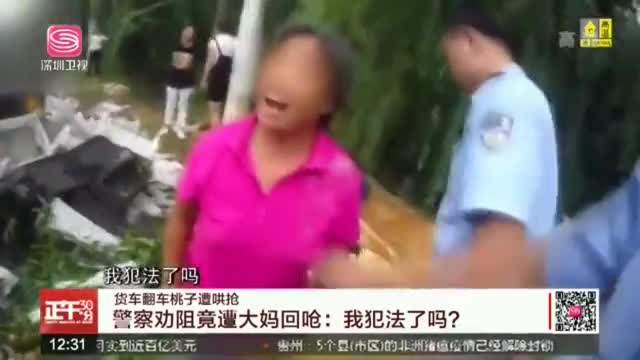 货车翻车桃子遭哄抢 警察劝阻遭大妈回呛
