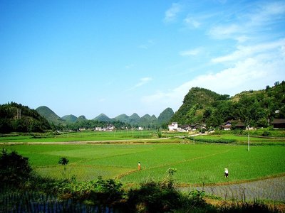 河南1517名规划设计师下乡 科学布局村庄生产生活生态空间