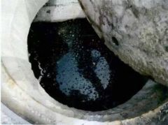 上海一干垃圾车司机混运垃圾 偷排污水进雨水窖井获刑