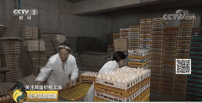 微信图片_20190718084654.gif