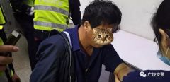 男子醉驾缓刑期内再次醉驾 法院：撤回原判，立即拘役