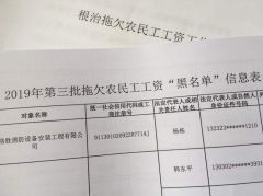 人社部公布第3批拖欠农民工工资黑名单：涉百家企业