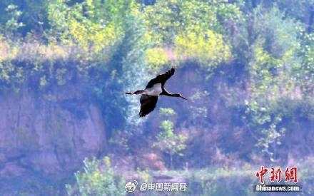 微信图片_20190722082720.jpg