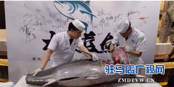 皇家驿站·御园将于8月2日荣耀盛启 台湾著名艺人黄安将与天中市民共享金枪鱼高端品鉴会